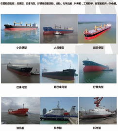 華洋船舶管理 為全球船東提供卓越的國際船舶管理服務(wù)